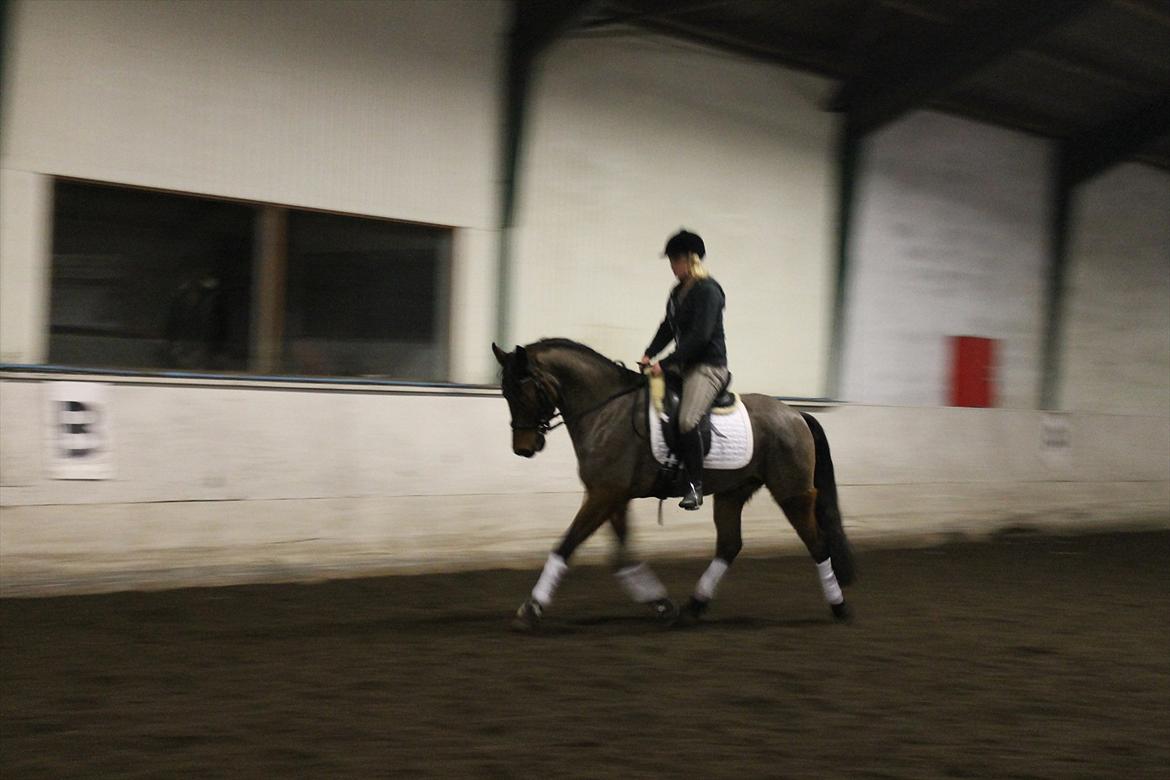 Anden særlig race Nadir <3  billede 13