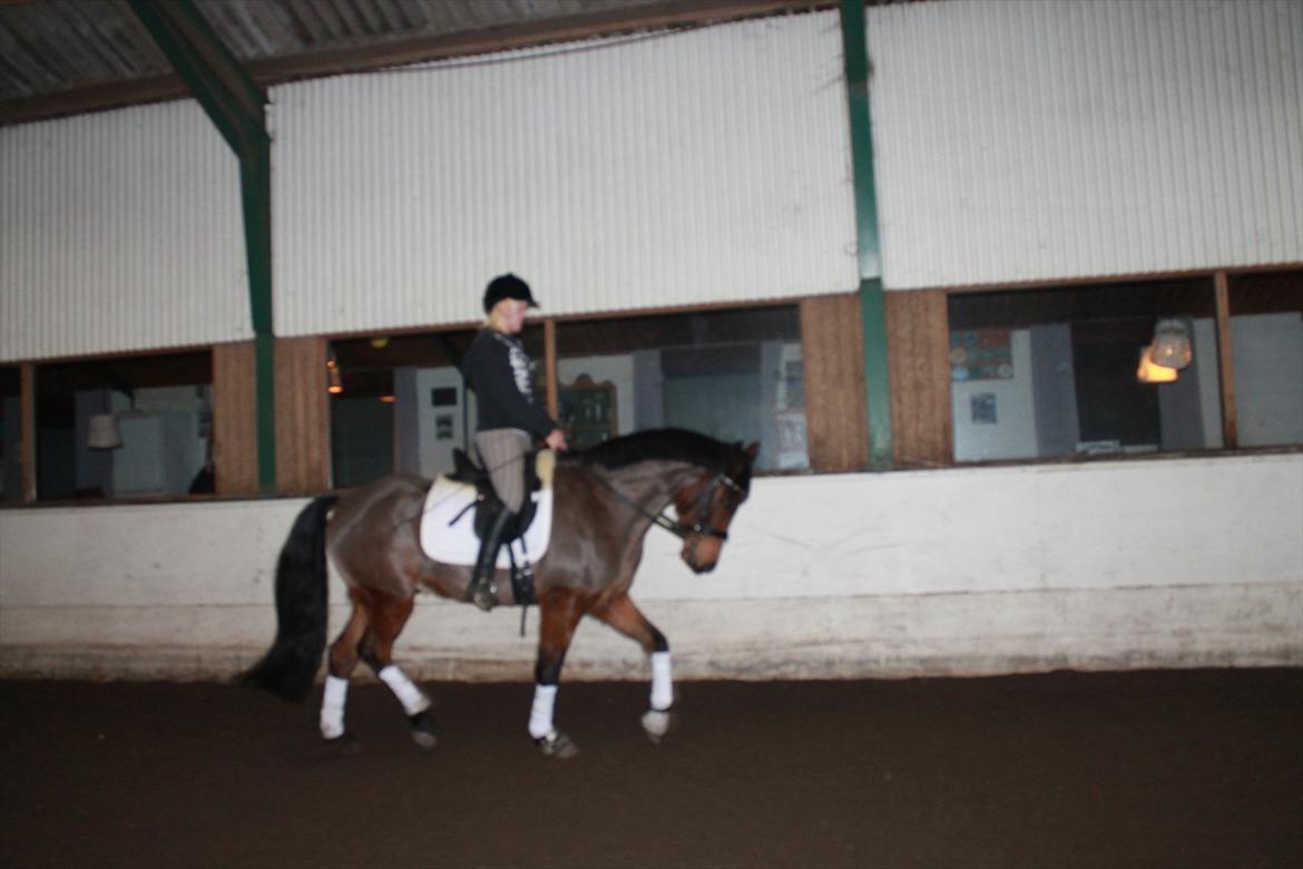 Anden særlig race Nadir <3  billede 14