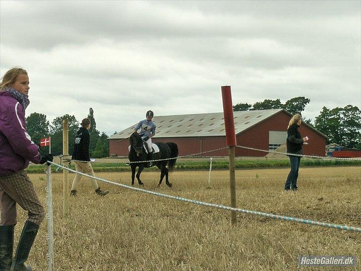 Anden særlig race Speedy - afleveret  tilbage -  - Så smuk! :O Blev selv overrasket ;D  billede 9