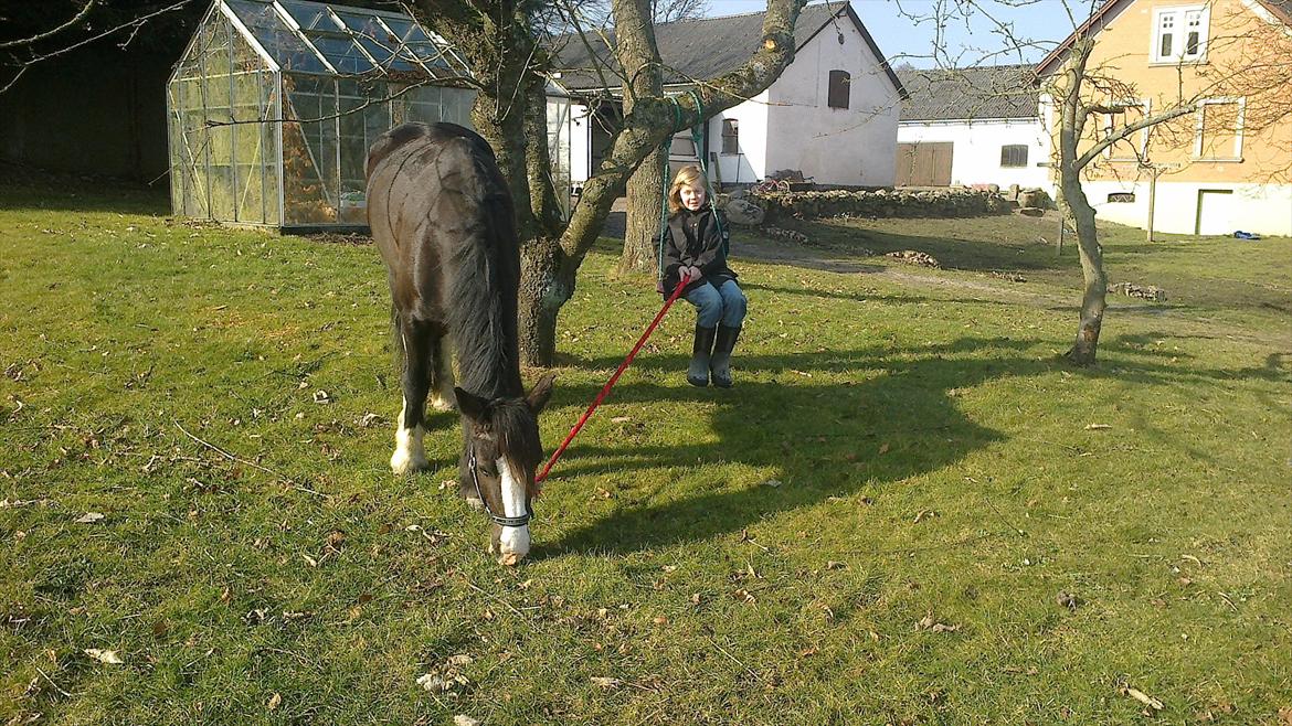 Anden særlig race Lady Guenevere billede 1