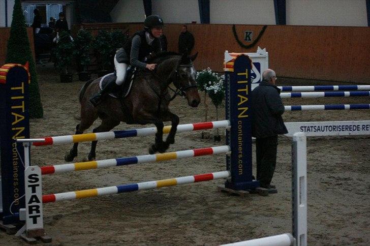 Knabstrupper Nobilitas Equa billede 8