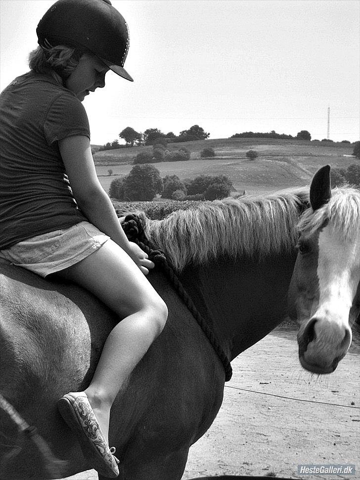 Anden særlig race Malou l MIT ALT l - Alberte & Malou. Hyggedag i sommers. <3 billede 19