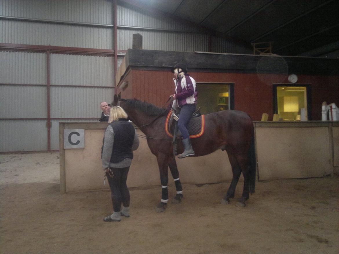 Anden særlig race La,cure <3 Guldklump billede 11