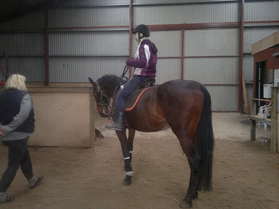 Anden særlig race La,cure <3 Guldklump billede 12