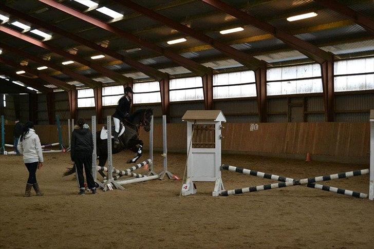 Svensk Sportspony  Venus (Pepsie) - Første springstævne billede 3