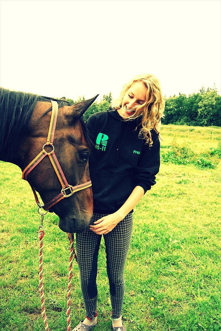 Dansk Varmblod High Power D - Happyness :D billede 9