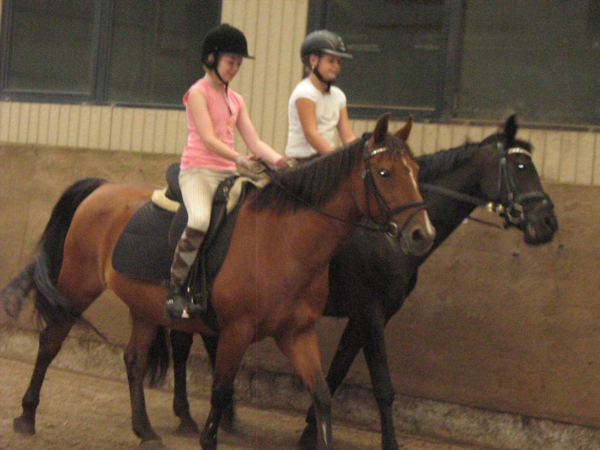 Anden særlig race philina billede 10