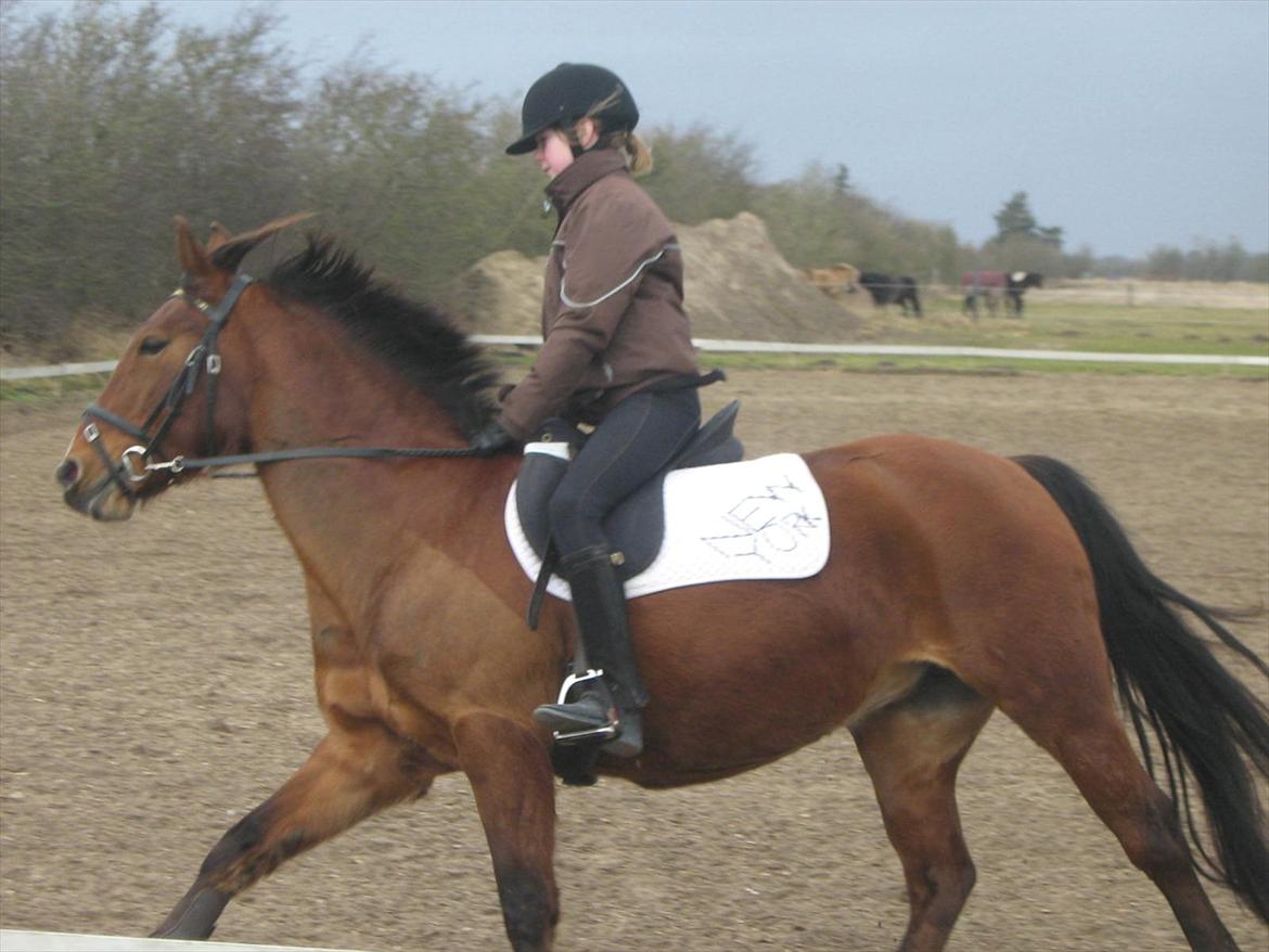 Anden særlig race philina billede 16