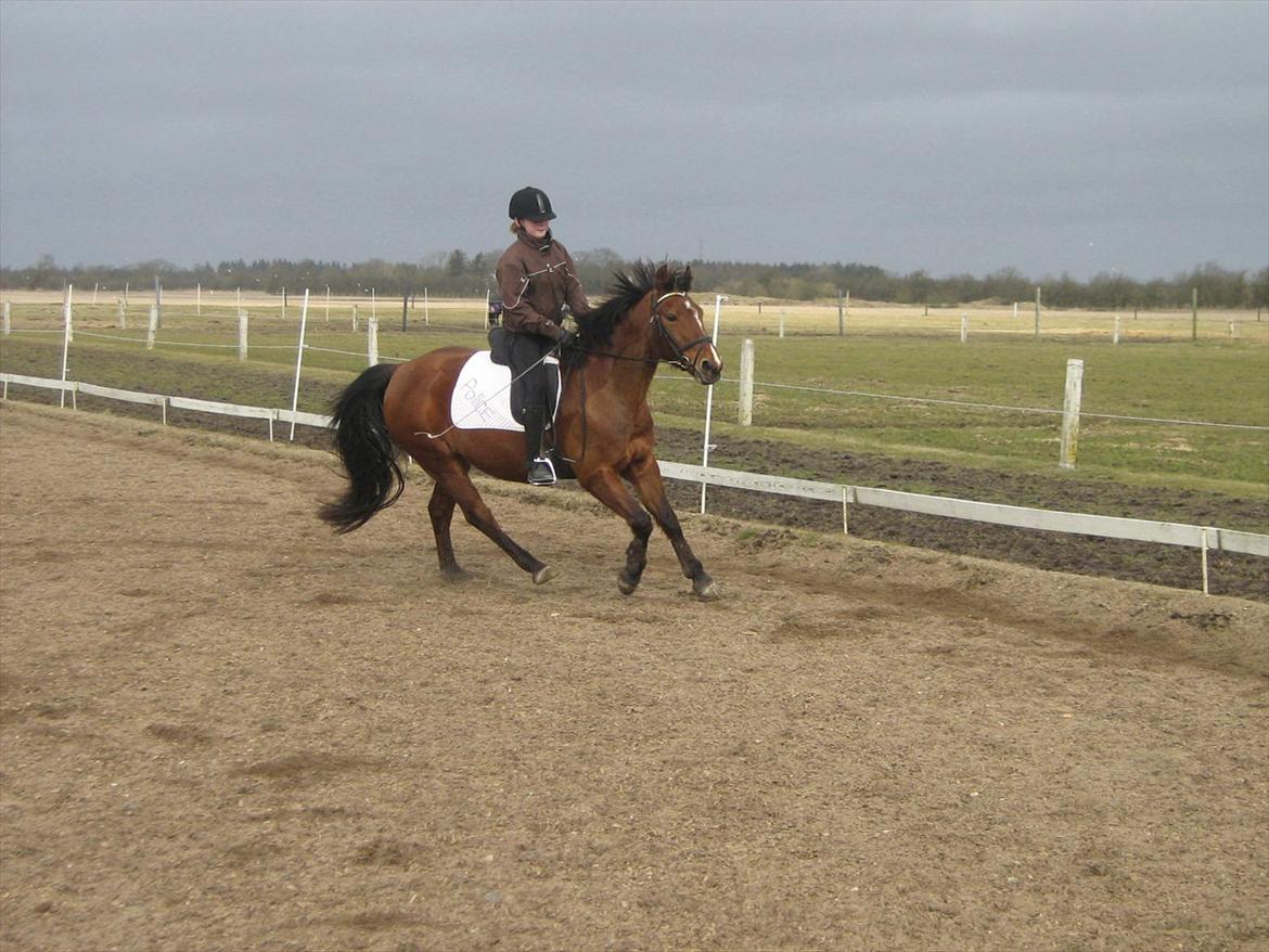 Anden særlig race philina billede 17