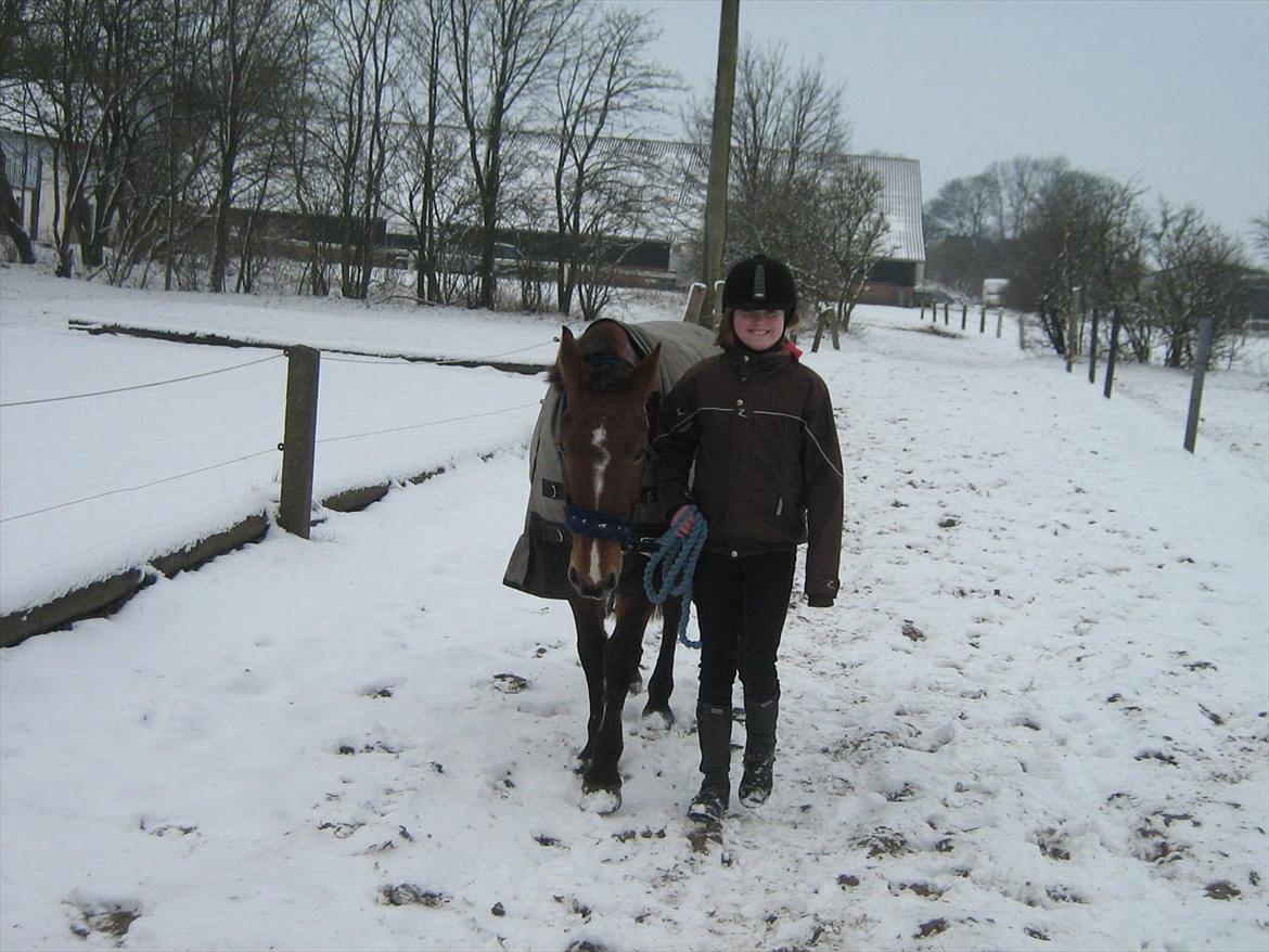 Anden særlig race philina billede 18