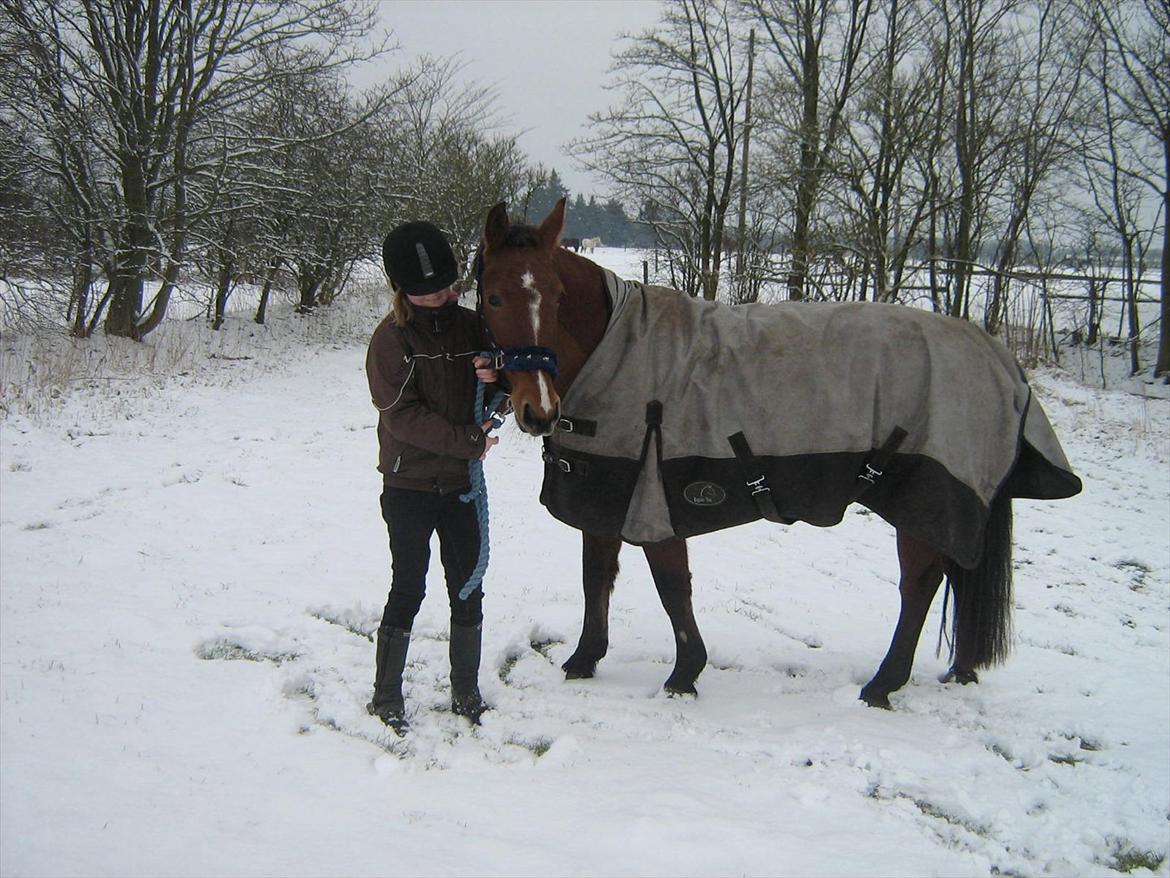 Anden særlig race philina billede 20