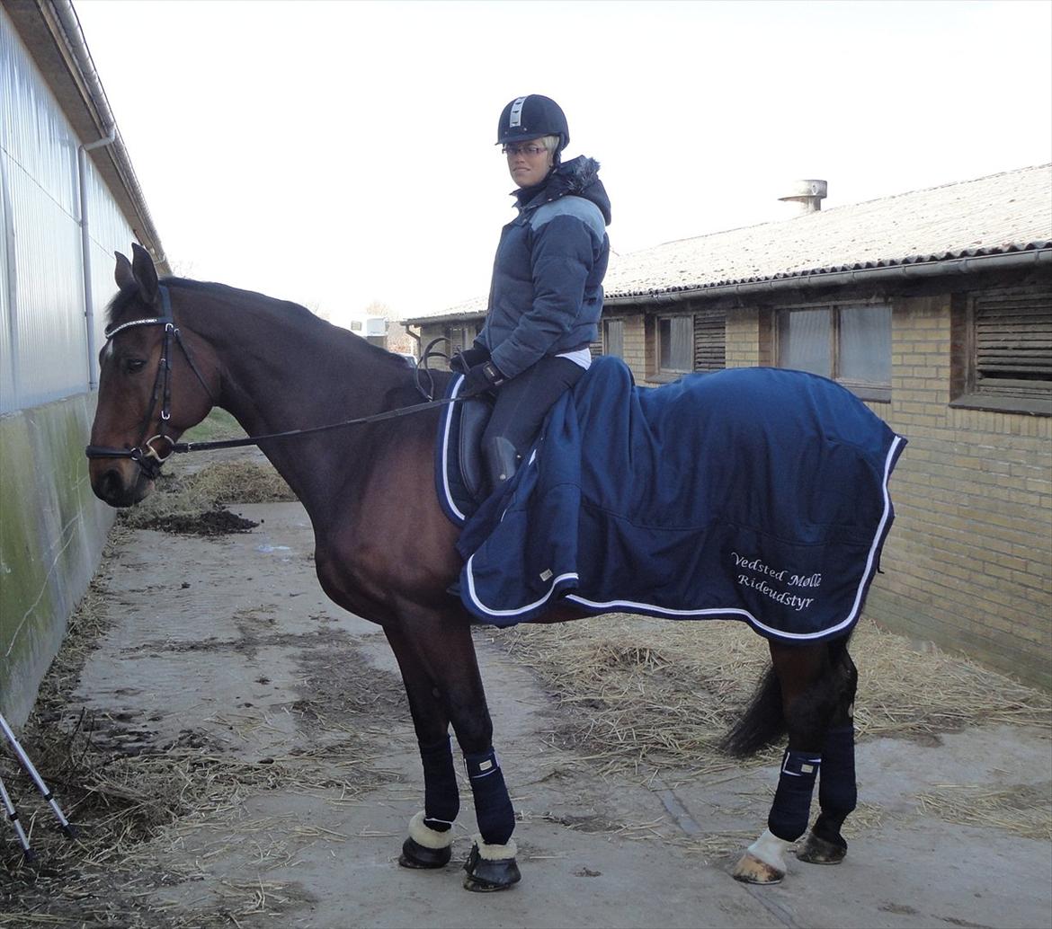 Dansk Varmblod Markgårds Donnewind - Den 4. marts 2012 - Vores flotte RBH sponsorsæt :) billede 5