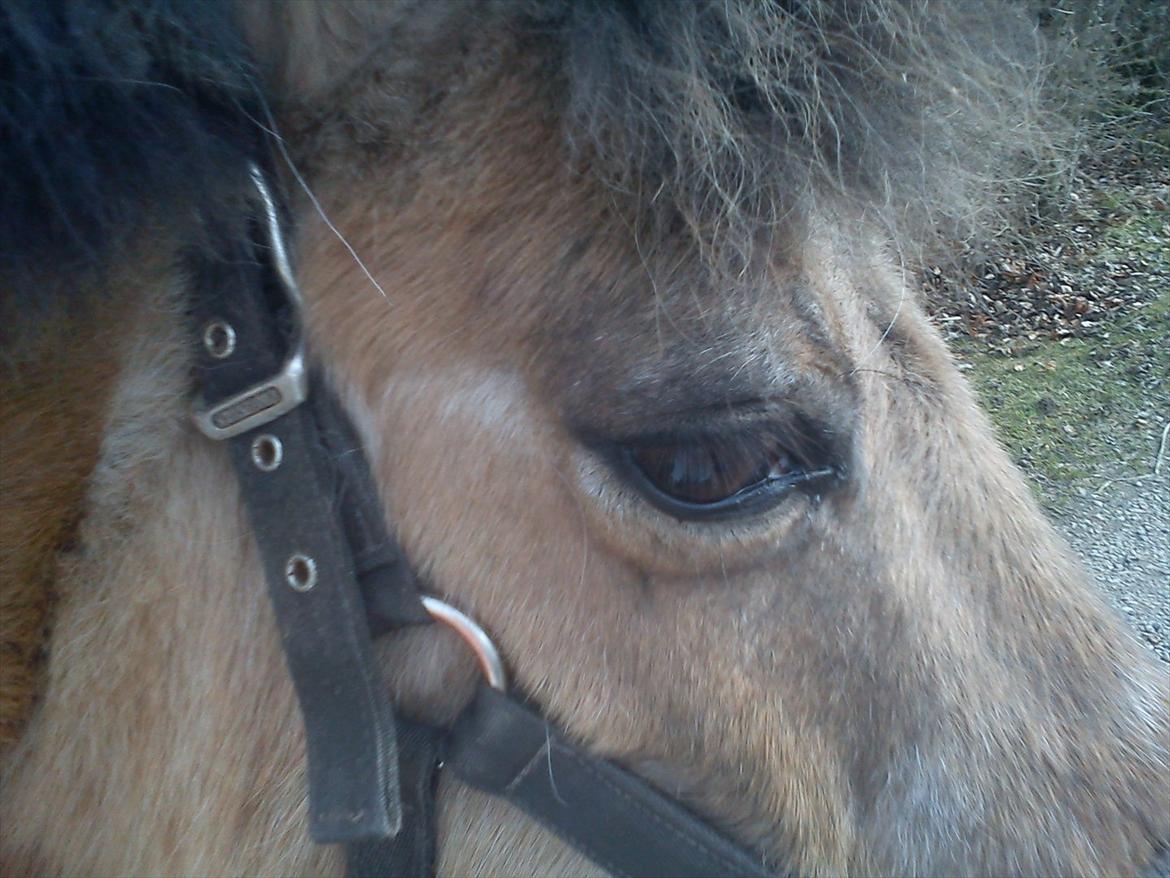 Anden særlig race Blinka<3 - søde Blinka!<3 billede 10