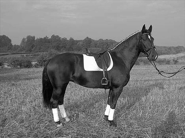 Oldenborg Altair Kikmose billede 1