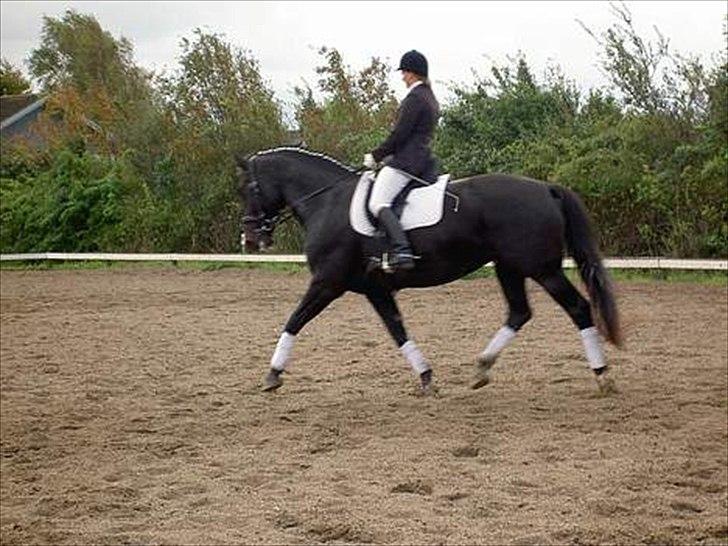 Oldenborg Altair Kikmose billede 2