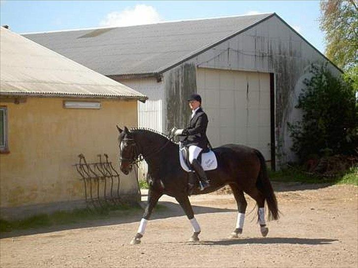 Oldenborg Altair Kikmose billede 4