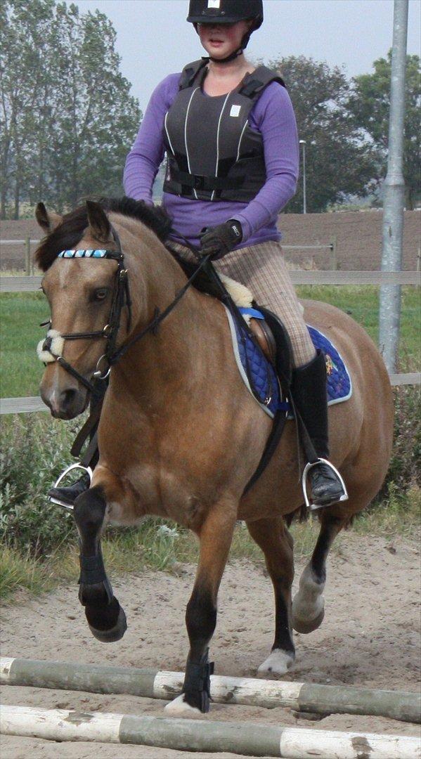 Connemara Com'si billede 20