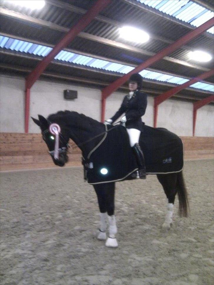 Dansk Varmblod Pasquinel - klubmester FKR 2011 billede 13