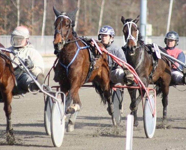 Traver Poolpartygirl F - 2 rutine løb med prinsessen. efter 1 måned hos os billede 9
