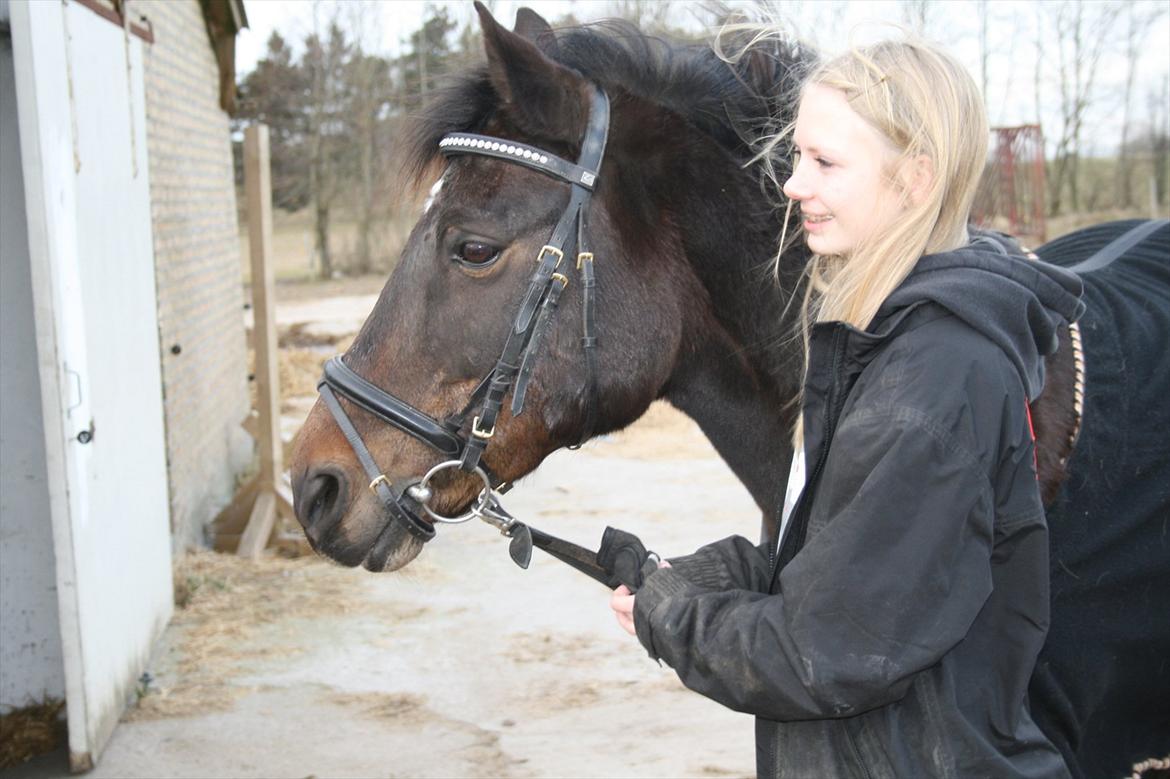 New Forest Dusty<3  ( HoppeBolden) - When my world is falling apart, and there is no light to break up the dark. Thats when i look at u<3 billede 11