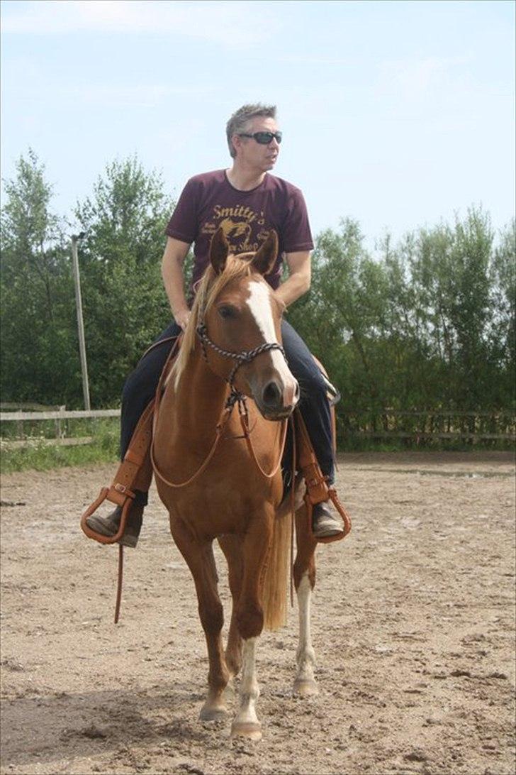 Anden særlig race Kløvermarkens Nikita billede 1