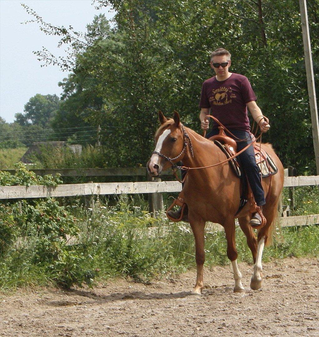 Anden særlig race Kløvermarkens Nikita billede 2