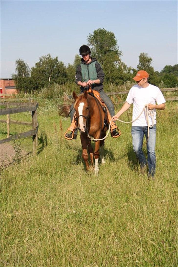 Anden særlig race Kløvermarkens Nikita billede 4