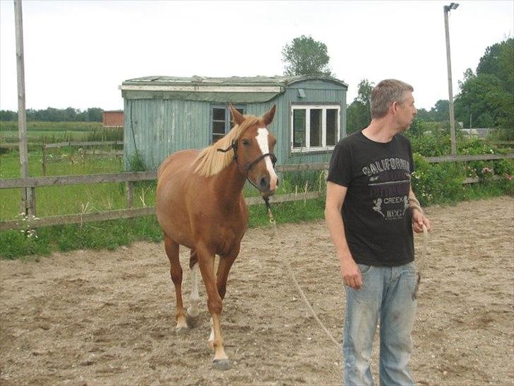 Anden særlig race Kløvermarkens Nikita billede 5