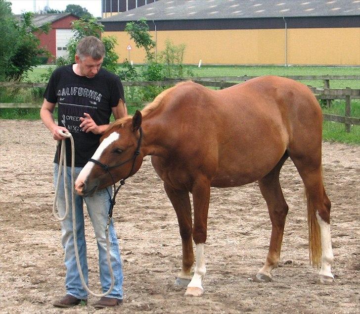 Anden særlig race Kløvermarkens Nikita billede 7