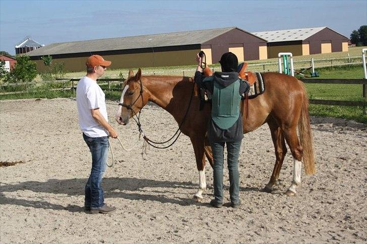 Anden særlig race Kløvermarkens Nikita billede 9