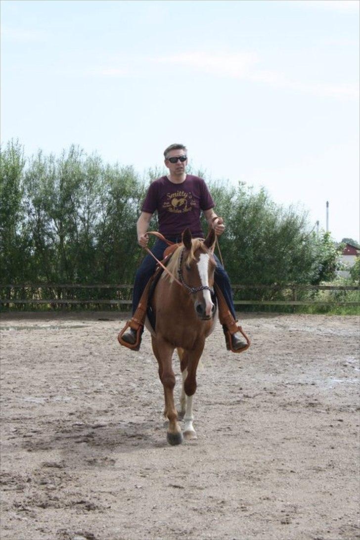 Anden særlig race Kløvermarkens Nikita billede 10