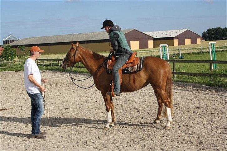 Anden særlig race Kløvermarkens Nikita billede 12