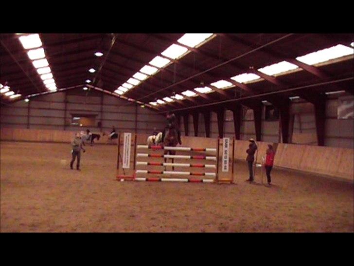 DSP Tooruardh (Tor) - my soulmate<3 - Springer 130 cm til sponsorspringning på NØR, d. 4 marts 2012 :D <3 billede 16