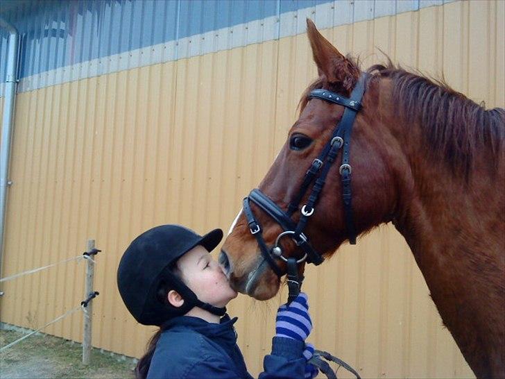 DSP Caryenne S   - mys mys <3
 billede 15