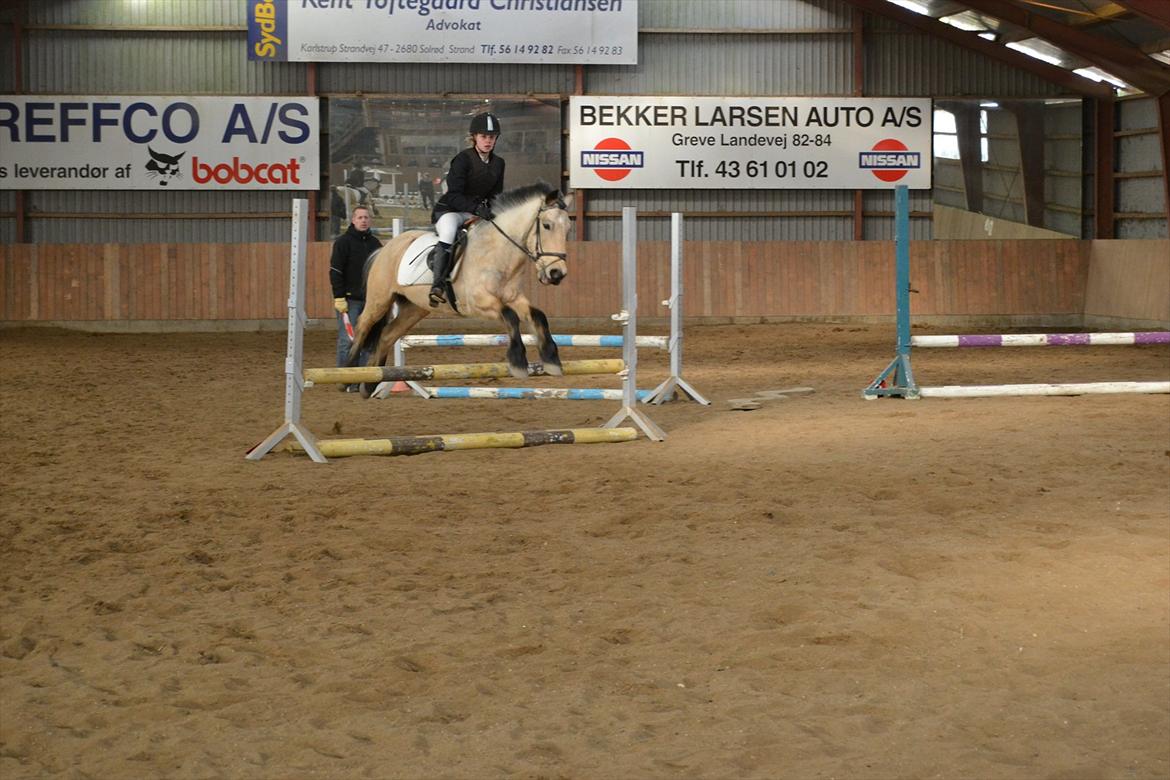 Anden særlig race Mikkel  - Jeg er så stolt af dig og hannah, i gør det så godt! <3  billede 3