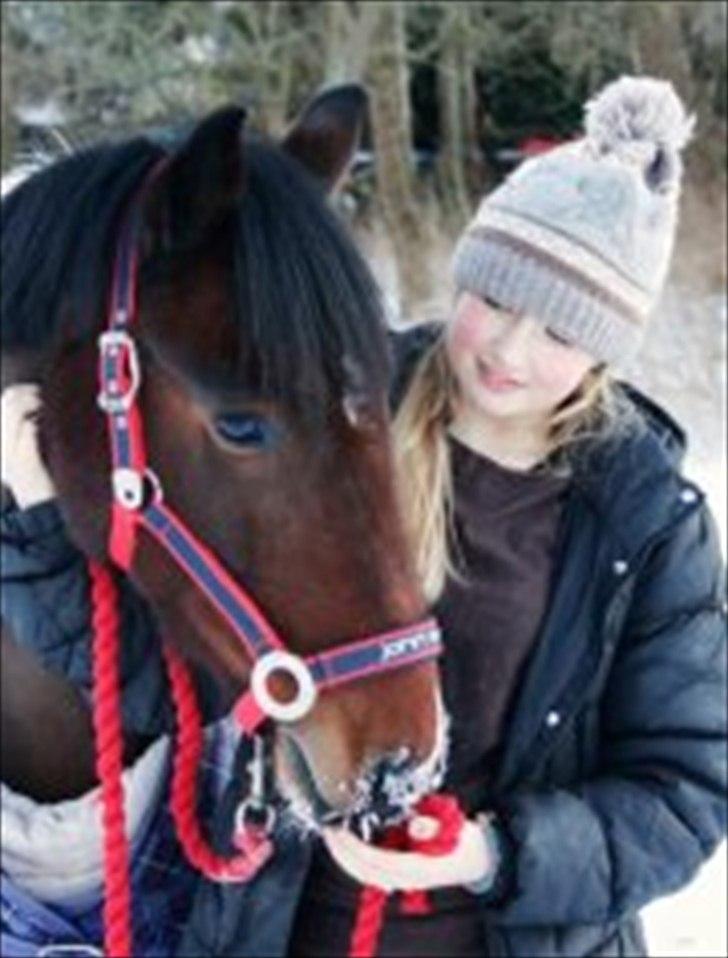 Pinto Apache-  <3 - VINTER 11` i love uuuuuu<3 billede 9