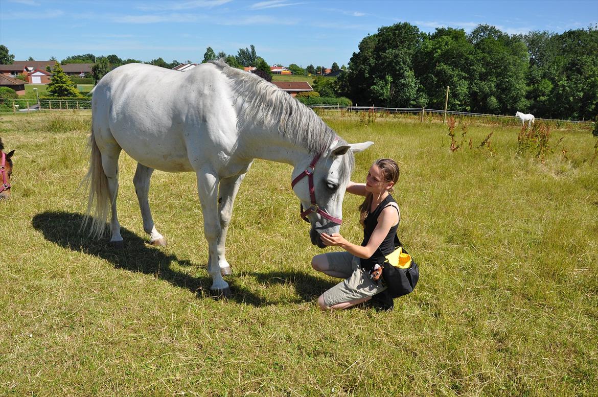 Arabisk fuldblod (OX) Wathana - -" I wish I could freeze this moment, right here, right now and live in it forever" billede 5
