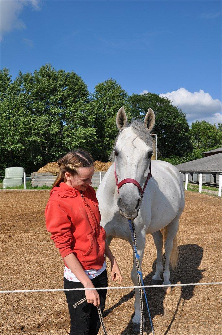 Arabisk fuldblod (OX) Wathana - - alle de andre spørger 'hvad har han som jeg ikke har?'' .. der svarer jeg ''mit hjerte'' ..
 billede 13