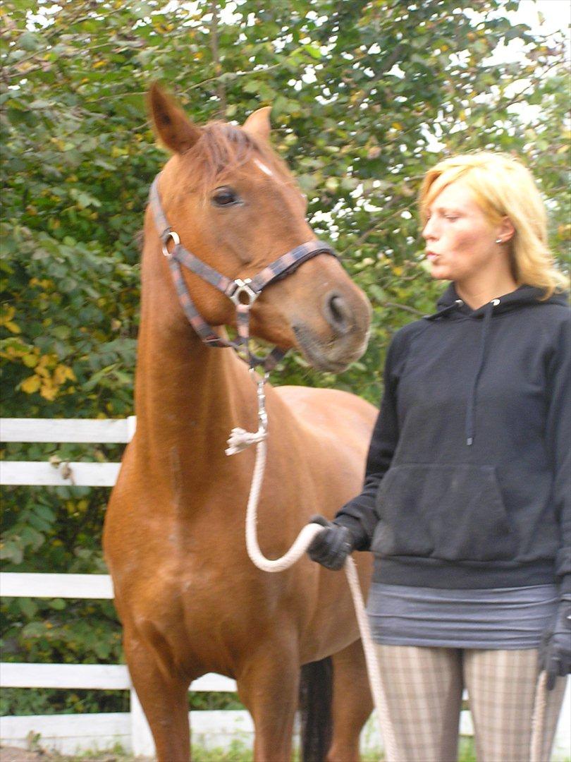 Tysk Sportspony Patricia - patte og mig i 2010 billede 7