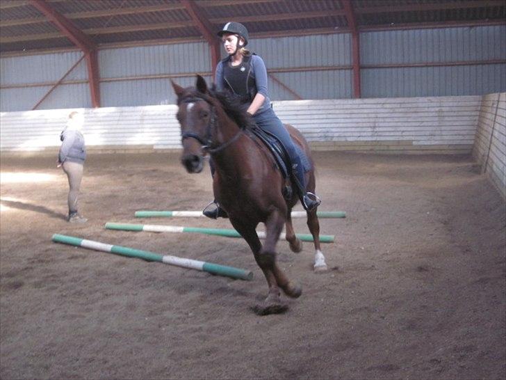 Anden særlig race Minali - Varmer op til springning. billede 7