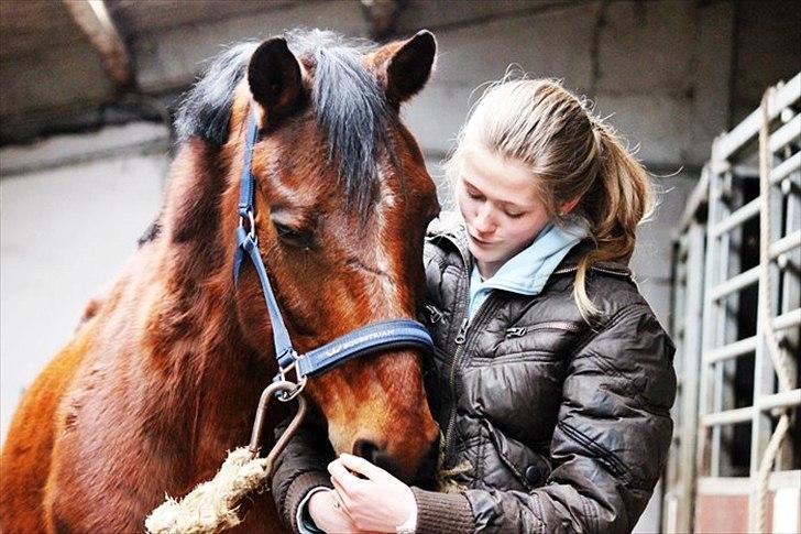 Tysk Sportspony Arking Jump.  - Bullerhesten. - Theres no secret as the one between a girl and her horse.<3

Jeg elsker dig.<3 billede 18