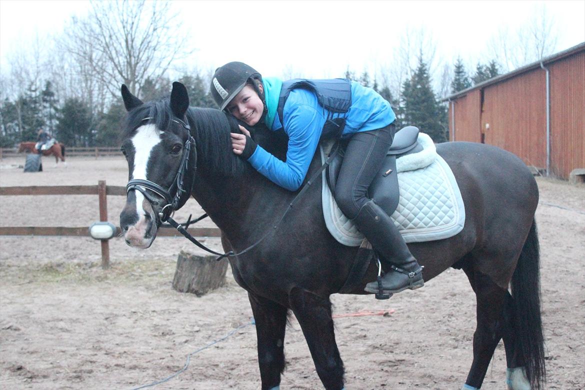 New Forest Adam af wrångebäck - Du er Dejlig <33 billede 10