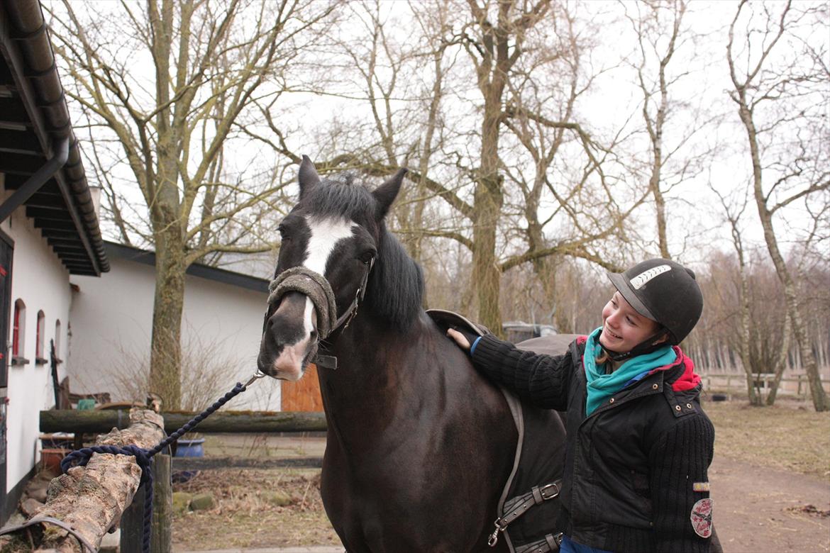 New Forest Adam af wrångebäck - Uhh... Ja lige der xD billede 7