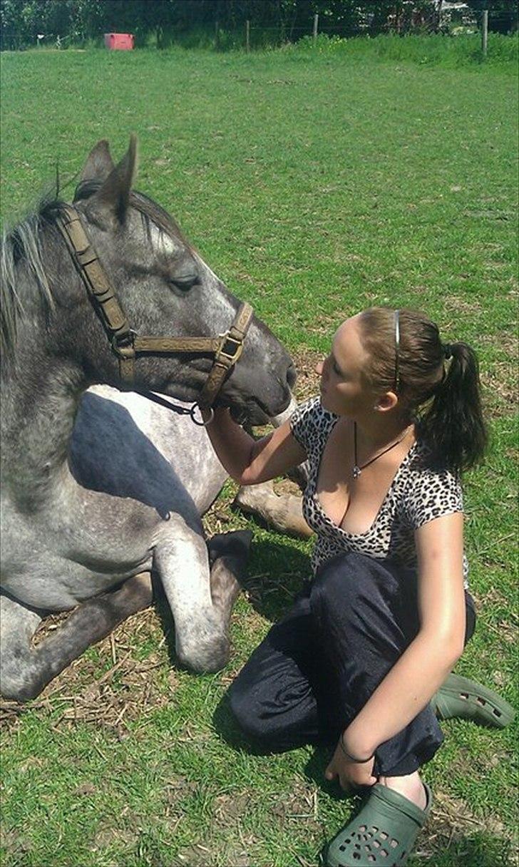 Knabstrupper elmelunds lua lani solgt billede 5