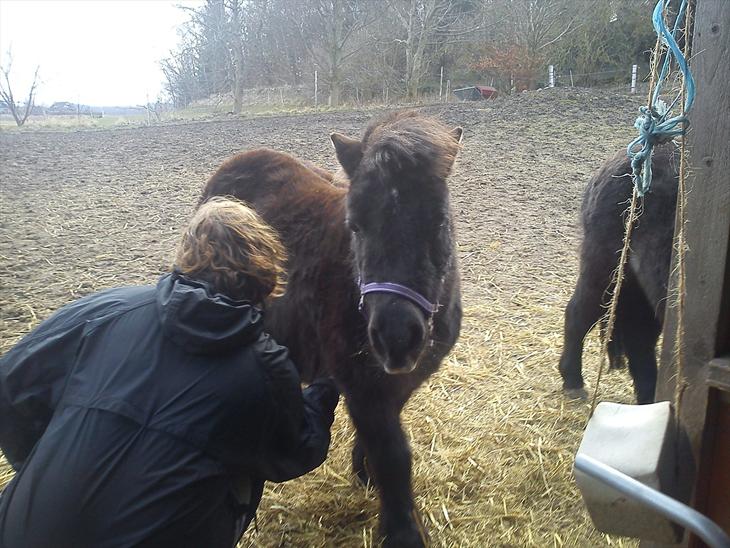 {{currentPhoto.altText}} billede {{currentPhoto.number}}