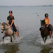 DSP LL Sludekildes malu-død:(