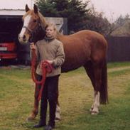 Anden særlig race Lucky