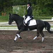 Anden særlig race Max<3 Pensioneret :)