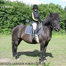 Anden særlig race Bianca