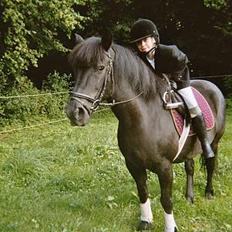 Anden særlig race Bianca